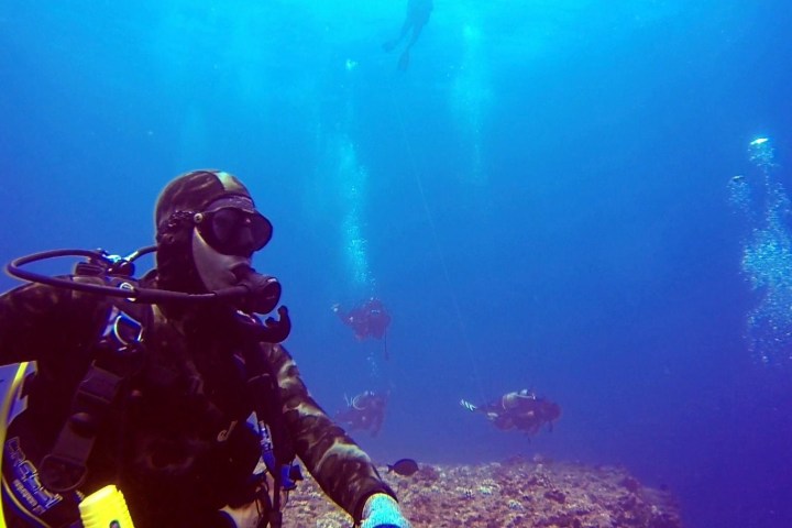 scuba diver underwater ocean fish